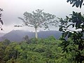 テテバトゥ散歩でジュクットの滝へ。雨対策はしっかりどうぞ。