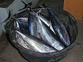 スマトラ島沖ウェー島:島めしはやはり魚がうまい。