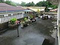 バンダ島で会った国際異色カップルの話。