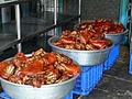 おまけ:台湾半周グルメ紹介。美味い物いっぱい♪