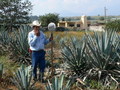 メキシコ個人旅行 2008年10~11月