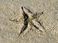 フィジー/ヤサワ諸島の旅:マタザワレブ島ロングビーチリゾート滞在記。