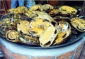 香港個人旅行 2003年3月