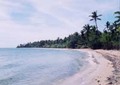 フィジー個人旅行 2002年12月~2003年1月