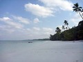 日本から24時間。強行軍でケイ島へ。成田-ジャカルタ-アンボン-ケイ・クチルへの道のり。