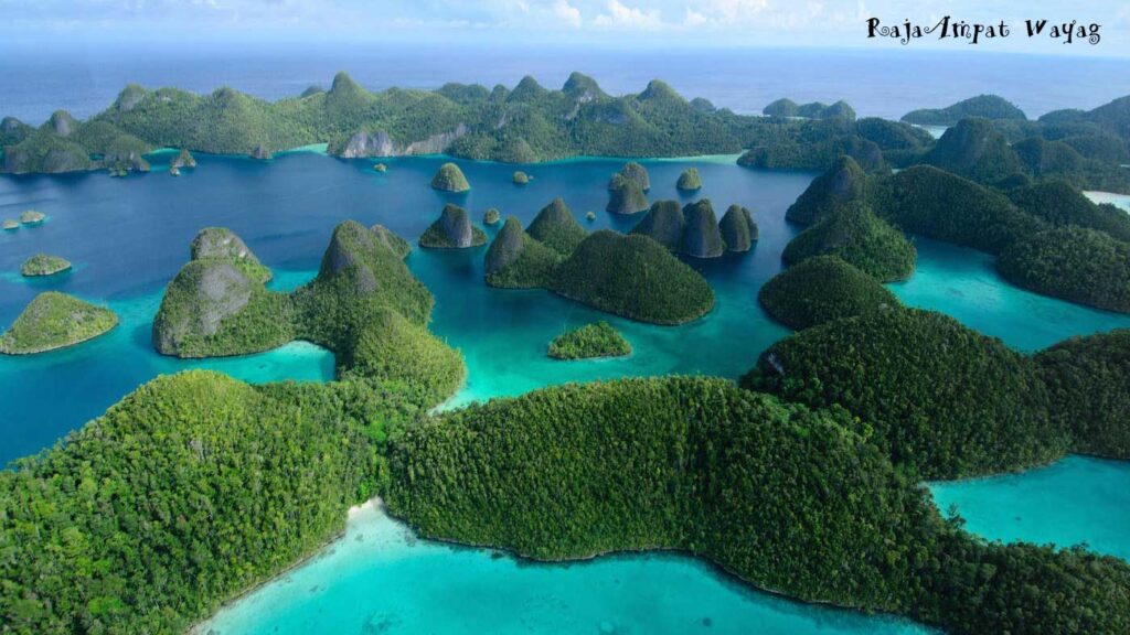 インドネシア 西パプア州のラジャ・案パット ワヤグ島の写真