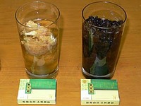 圧縮キノコが水を吸って戻っている途中