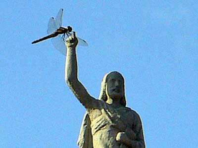バルセロナ大聖堂の女神にトンボがとまる