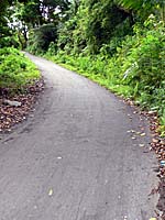 バンダ島を南北に通る道