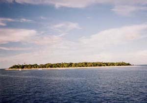 Tressure Island