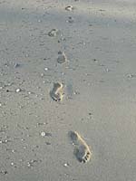 ビーチに付いた足跡。