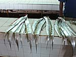 市場に売られている魚：太刀魚