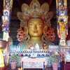 ラダックの旅：ティクセ・ゴンパで朝の勤行見学。